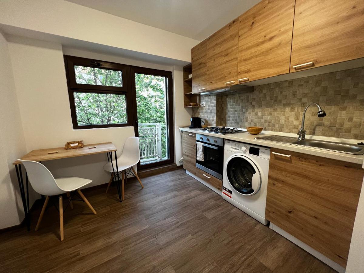 Central Studio Apartment บูคาเรสต์ ภายนอก รูปภาพ
